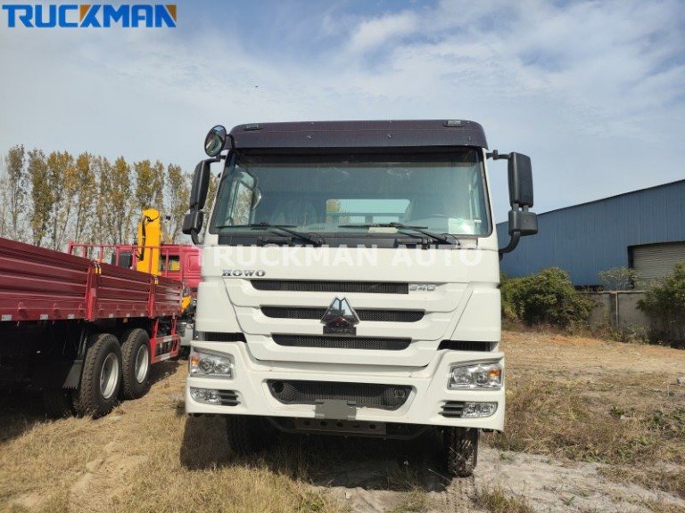 Caminhão de carga SINOTRUK HOWO 6x4 10 rodas